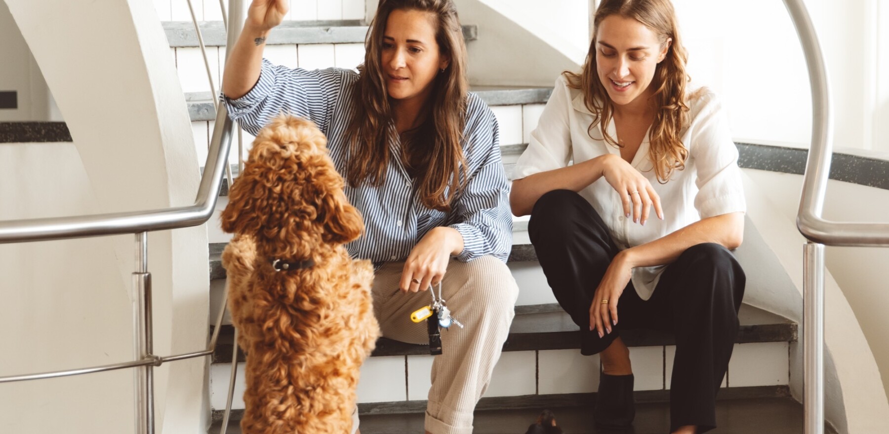 In gesprek met Desiree & Eva van HIG
