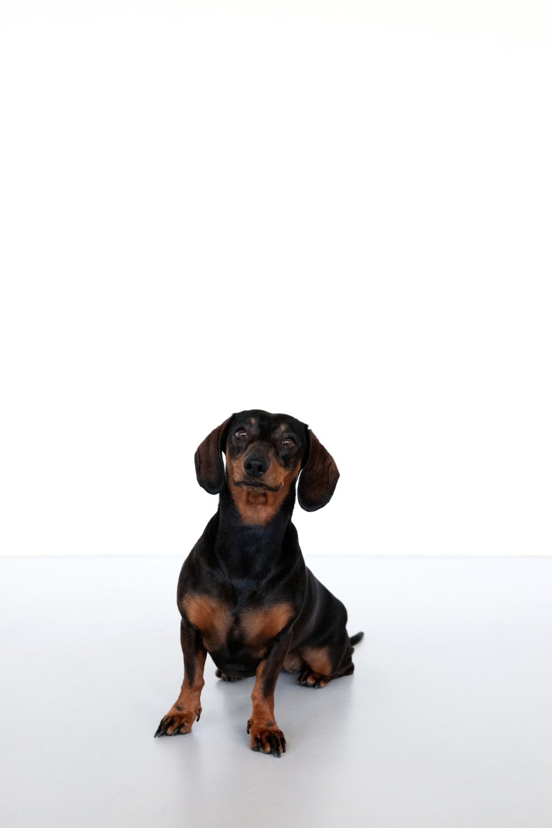 Louie Barack